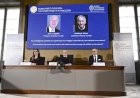 Nobel de Física 2024 vai para dois cientistas com estudos sobre aprendizado de máquina