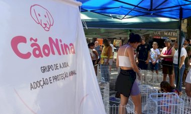 Prefeitura de Barra Mansa e Grupo CãoNina promovem feira de adoção de animais vítimas de maus-tratos e abandono