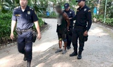 Guarda Municipal detém em flagrante homem por atos libidinosos no Parque Centenário