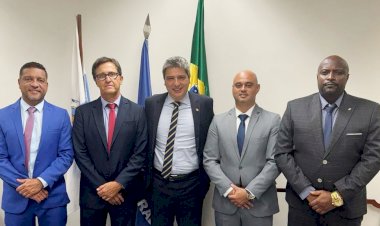 Vereadores participam de reuniões importantes em Brasília