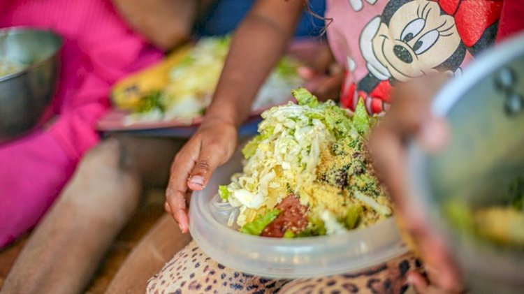 Governo Federal aprova o Plano Alimento no Prato