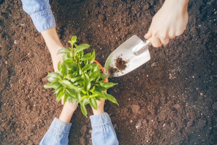 Porto Real pontua no ICMS Ecológico por Educação Ambiental