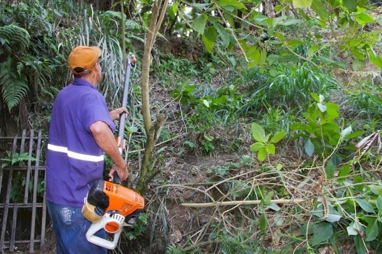 Prefeitura intensifica mutirão de serviços e leva melhorias ao bairro Paraíso de Baixo